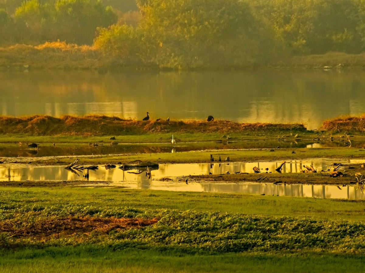 How Development Threatens the Future of the&nbsp;Everglades